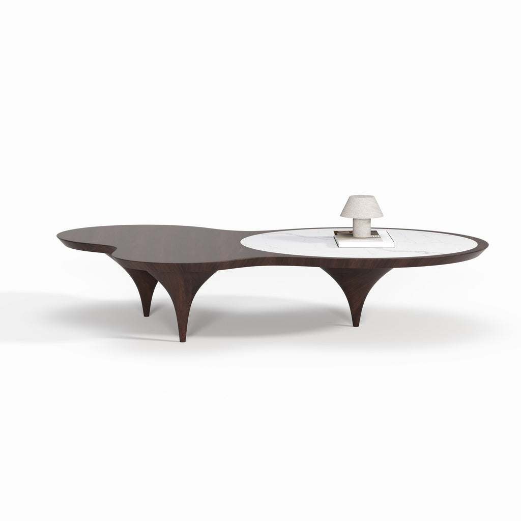 Dual-top Curved Wood Coffee Table, Italian Designer Center Table for Custom Living Space A005